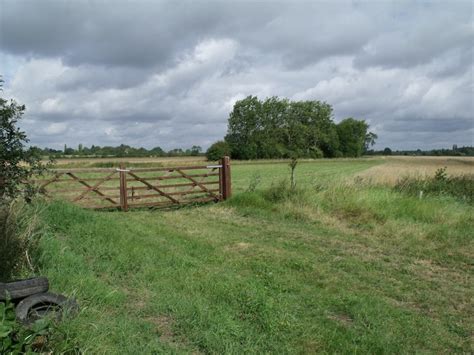 Car Dyke Plantation J Hannan Briggs Cc By Sa Geograph Britain