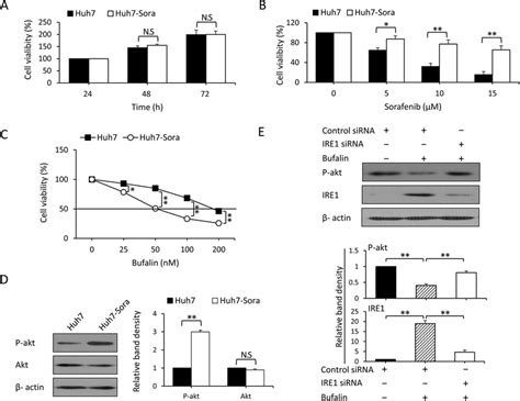 Bufalin Reverses Acquired Resistance To Sorafenib By Downregulating