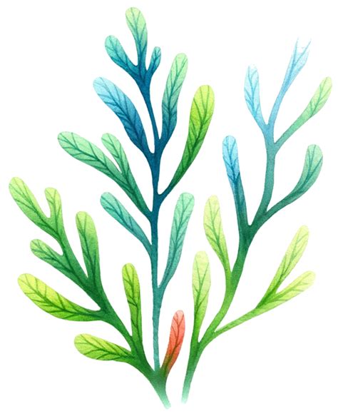 Ai Generated Colorful Seaweed Ocean Flora Watercolor Illustration Ai