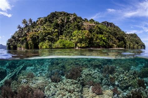 Kepulauan Solomon Tempat Wisata Yang Layak Dikunjungi Naviri Magazine