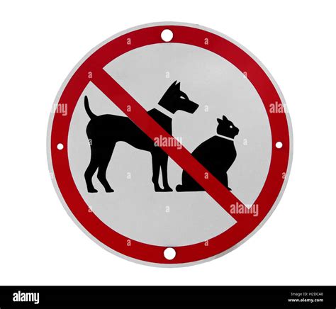 С Животными Запрещено Картинки – Telegraph