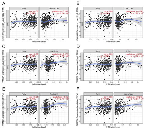 Correlation Between Fam A And Immune Cell Infiltration Levels In Hcc