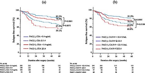 Relapse Free Survival Rfs Curves Of Patients With Postoperative