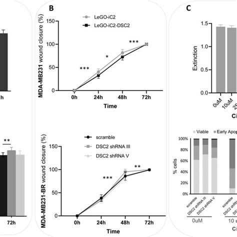 Desmocollin Knock Down And Overexpression In Tnbc Cell Lines Dsc