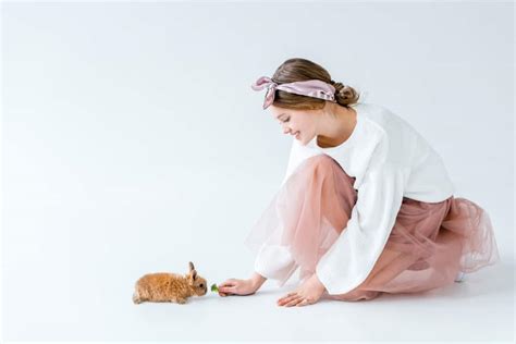 Caring For Newborn Baby Rabbits - Northern Nester