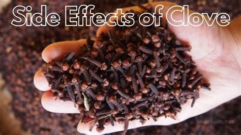 Clove - Benefits, Side Effects & Details | Pisum Foods