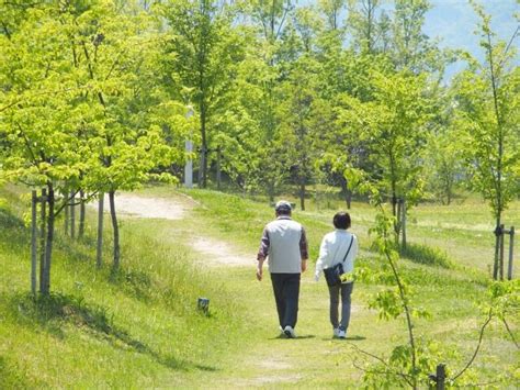 東京を散歩するなら！おすすめの散歩コース まるごとライフ！