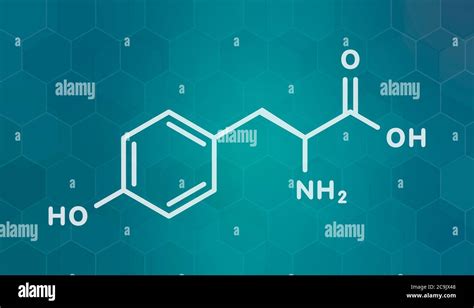 Tyrosine L Tyrosine Tyr Y Amino Acid Molecule White Skeletal