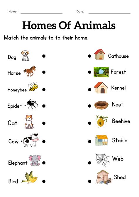 Animals and their homes worksheets for grade 1 2 3 - homes of animals ...