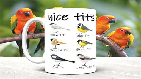 Hey Nice Tits Oz Mug Great Gift Secret Santa Office Gift Etsy