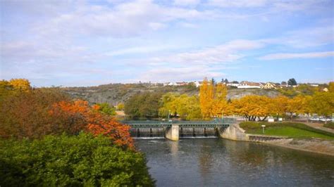 Dijon Weather And Best Time To Visit Dijon (2025)