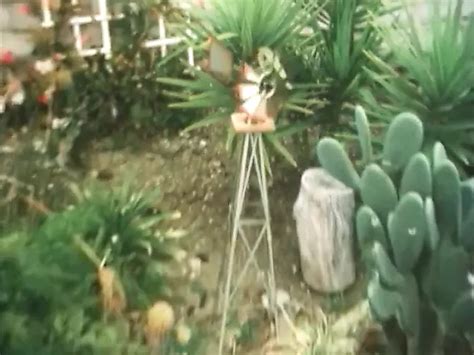 Connie Peterson Porn Videos 2025 Porn Star Sex Scenes XHamster