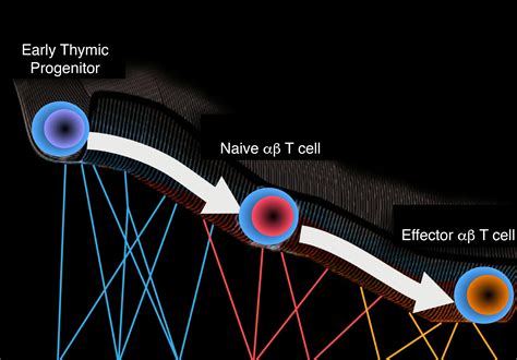 KOH LAB @ UCHICAGO — Research 