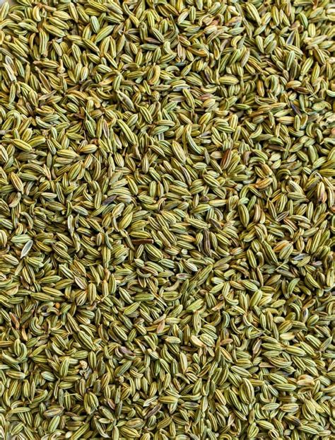 Green Organic Fennel Seeds Packaging Type Packet Packaging Size