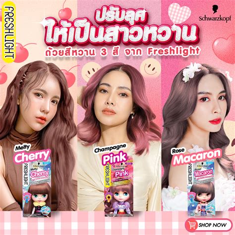 Freshlight Thailand