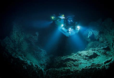 Sabes Cu Les Son Los Biomas Marinos Desc Brelos Aqu