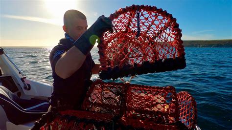 Hauling The Fishlocker Lobster Pots Lobsters And Crabs The Fish