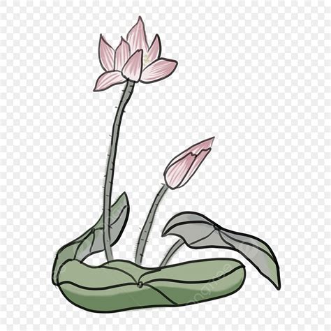 Color Gu Yu Qingming Cartoon Png Pintado A Mano Lotus Hoja De Loto