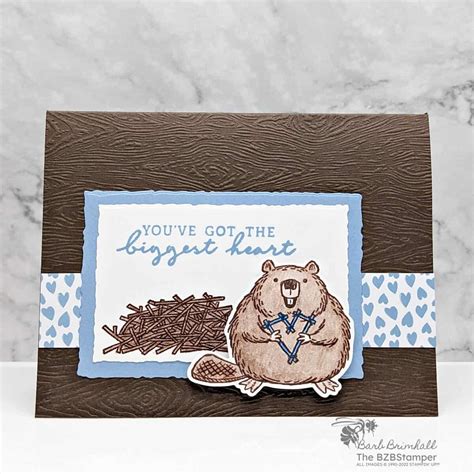 Fluffiest Friends Bundle By Stampin Up Barb Brimhall The Bzbstamper