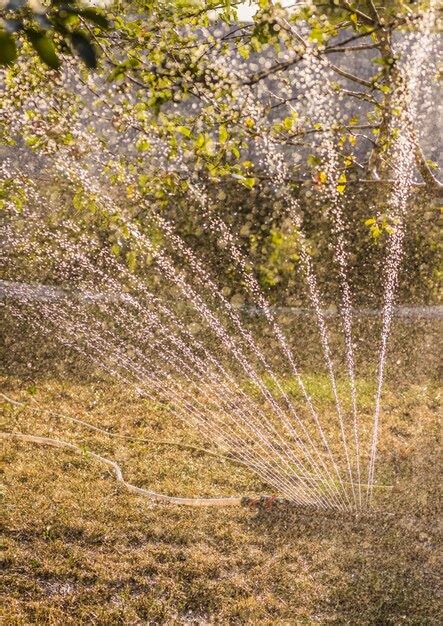 Bewässerungsgerät für den Garten Bewässerungssystem Bewässerungstechnik