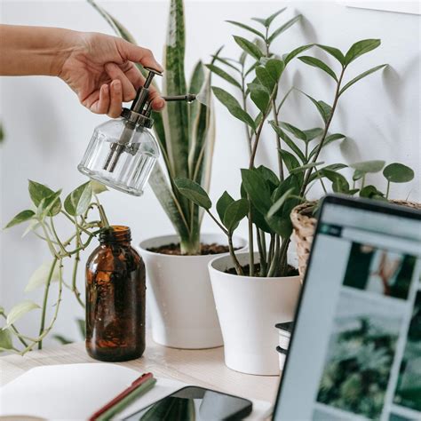 Affinity Living in partnership with Select Residential - Affinity Living