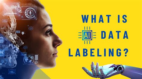 What Is Data Labeling Its Types Role Challenges And Solutions AI