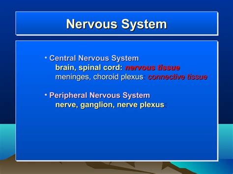 Central Nervous System Physiology Ppt