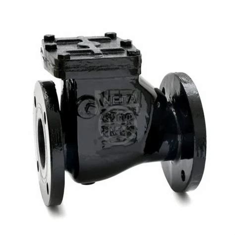 Cast Iron Reflux Valve At Piece Cast Iron Reflux Valves In