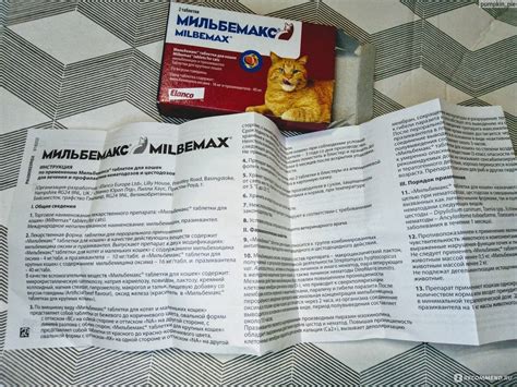 Мильбемакс для кошек: инструкция по применения, цена, отзывы