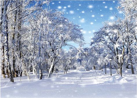 Amazon WOLADA Winter Scene Backdrop Winter White Snowy Forest