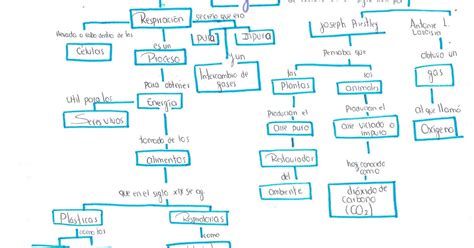 Blog De Alondra Lara Rangel 618 2018 10 Lectura 1 Mapa Conceptual