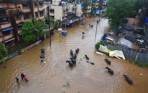 Nashik Gangapur Dam Water Floods Nashik Telegraph India