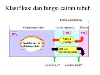 Mengenal Homeostatis Cairan Tubuh Ppt