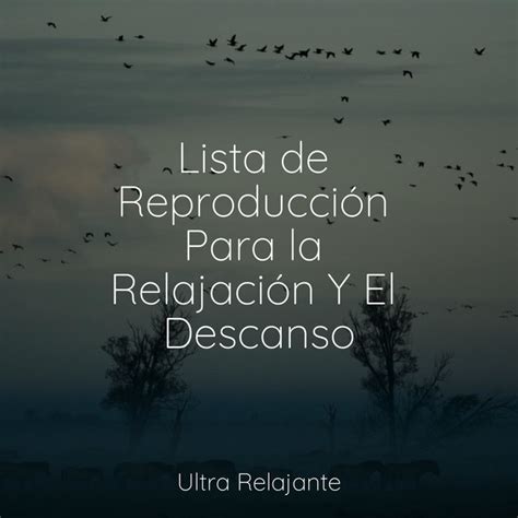 Lista de Reproducción Para la Relajación Y El Descanso Album by