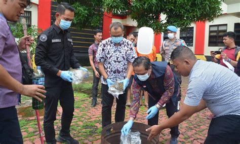 Polda Kepri Musnahkan 2 1 Kg Ganja Hasil Tangkapan Di Batam Medianesia