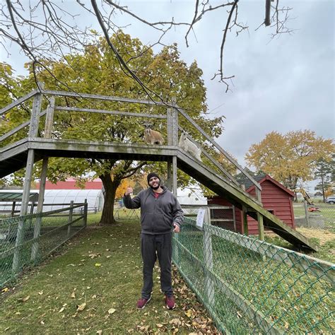 Fall at the Farm – Kerry's Place