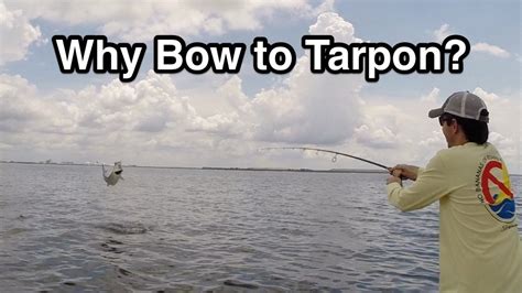 Tarpon Fighting Tip - "Why Should You Bow to the King"