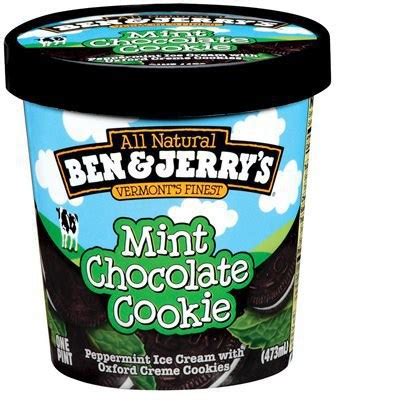 mint chocolate chip ice cream brands