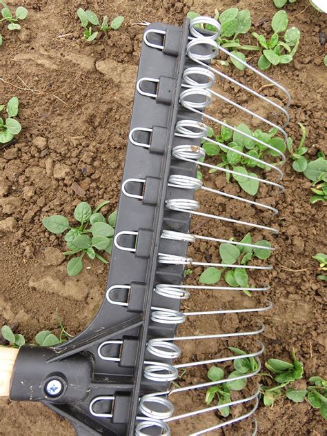 6 Essential Tools For Weeding Your Garden - Hobby Farms