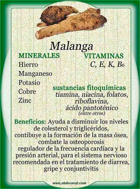 Malanga Salud Belleza Y Bienestar