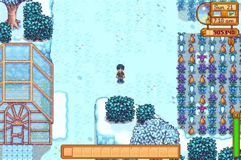 Best Winter Crops in Stardew Valley | High Ground Gaming