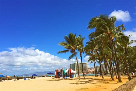 Oahu Honolulu co warto zobaczyć Kobieta