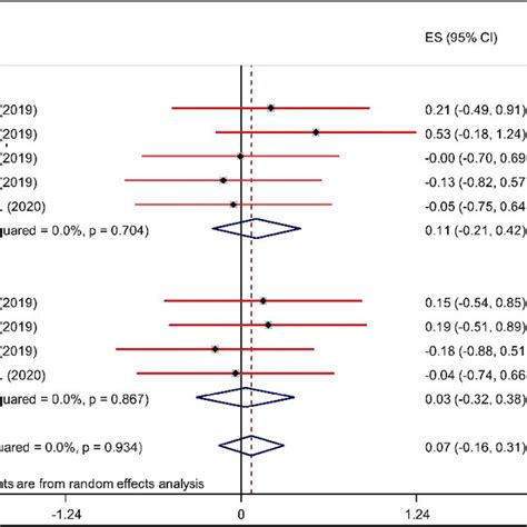 The Forest Plot Of The Level Of The Standardized Mean Differences In