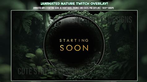 Twitch Overlay Animated Forest Jungle Plants Stream Screens Elevate