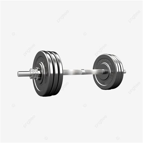 Barbell D Realistic Object For Gym Gym Tools Barbell Dumbbell