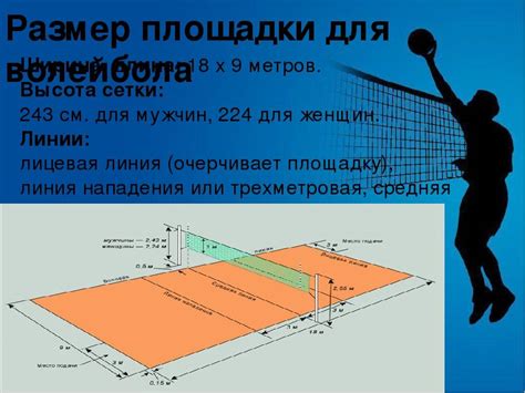 Сетка волейбольная мужская высота: Высота сетки в волейболе