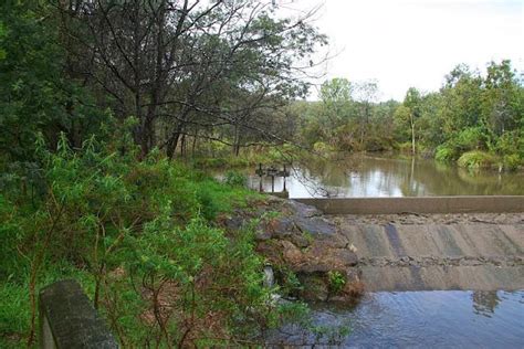 Tracks Trails And Coasts Near Melbourne Lilydale Lake Wetlands