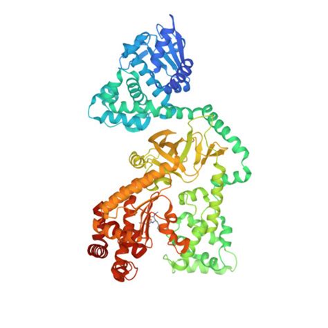 Rcsb Pdb 1pwu Crystal Structure Of Anthrax Lethal Factor Complexed