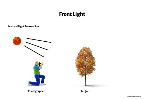 11 Types Of Natural Light In Photography Photographyaxis