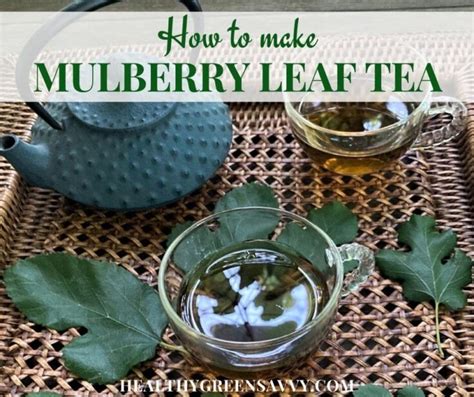 Mulberry Tree Leaf Tea ~ Recipe, Identification & 5 Benefits